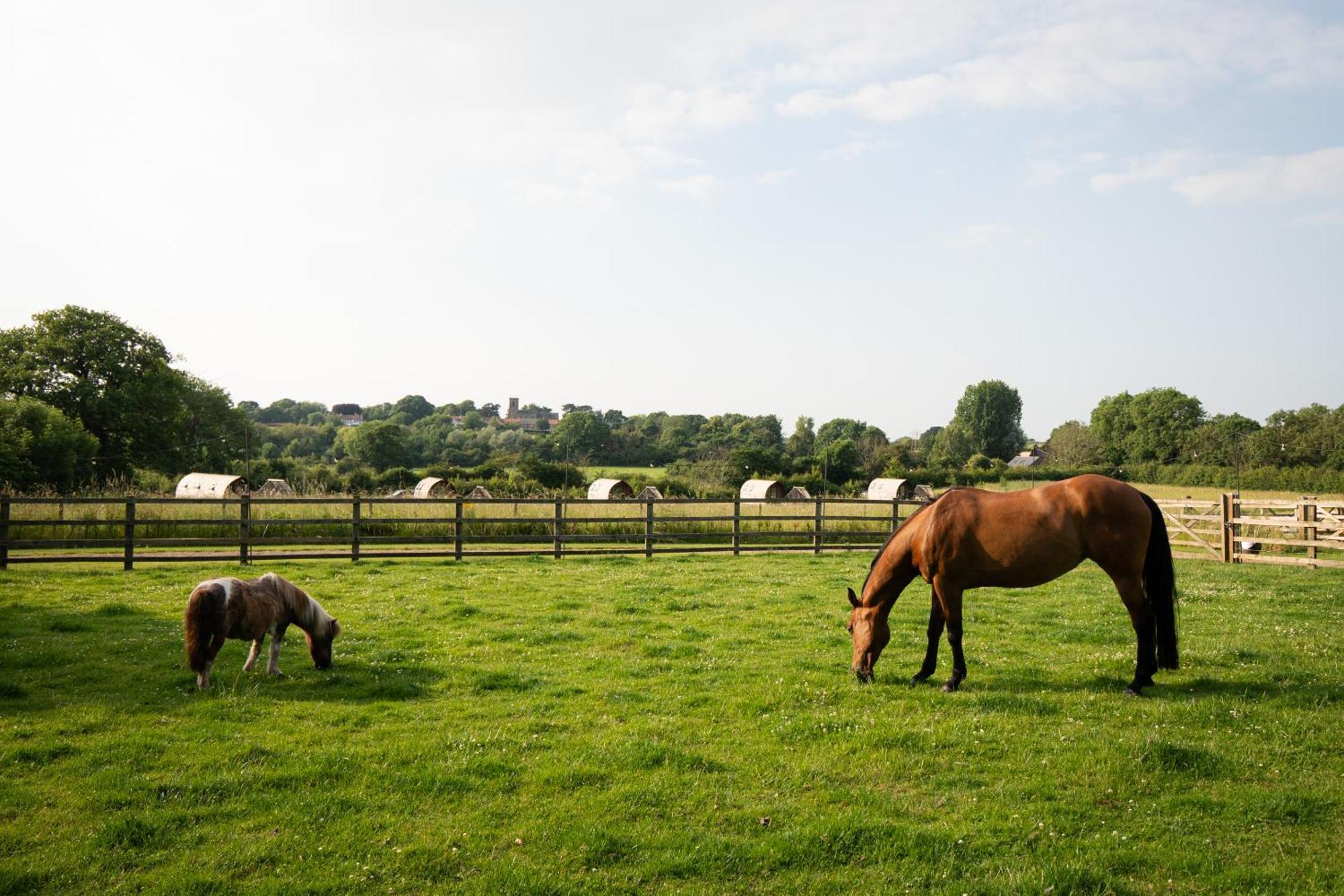 Sedgewell Barn By Wigwam Holidays Northallerton Extérieur photo