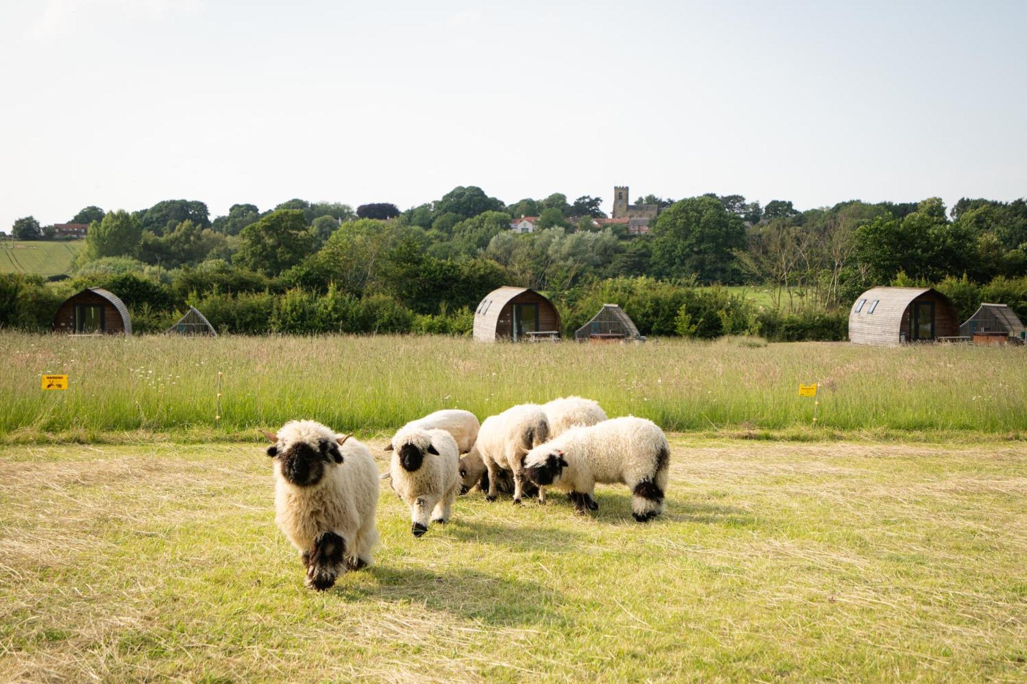 Sedgewell Barn By Wigwam Holidays Northallerton Extérieur photo